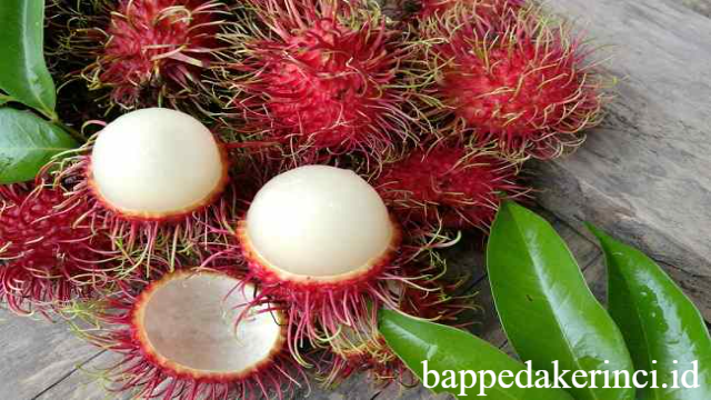 Pesona Buah Rambutan: Khasiat Tersembunyi Si Buah Berbulu