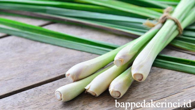8 Manfaat Serai untuk Kesehatan Tubuh